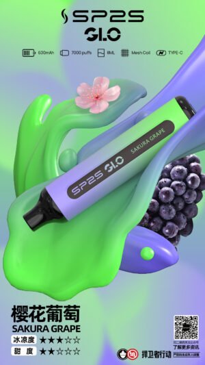 SP2一次性7000口 SP2電子煙7000口